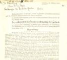 Eingabe des deutschen Frauenstimmrechtsbundes und des Deutsche Frauenausschusses für dauernden Frieden an den Vizekanzler Friedrich von Payer vom 24. Oktober 1918