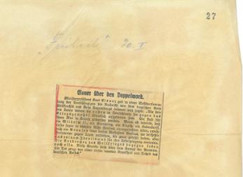 Zeitungsartikel aus "Freiheit" vom 20.1.1919