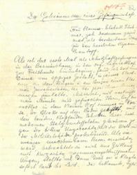 Auszug aus der literarischen Skizze „Die Geheimnisse eines Gefängnishofes“ (Frauengefängnis Barnimstraße), 1917