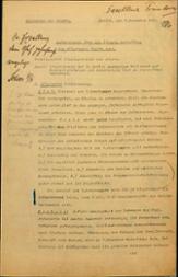 Bericht des Reichsamts des Innern vom 7. November 1918